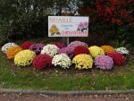 Nuaillé Capitale du Chrysanthème