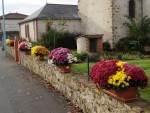 Nuaillé Capitale du Chrysanthème