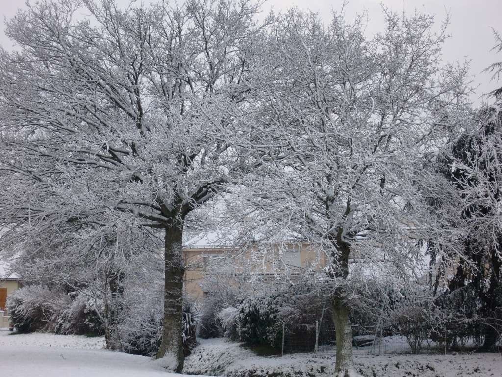 Nuaillé sous la neige